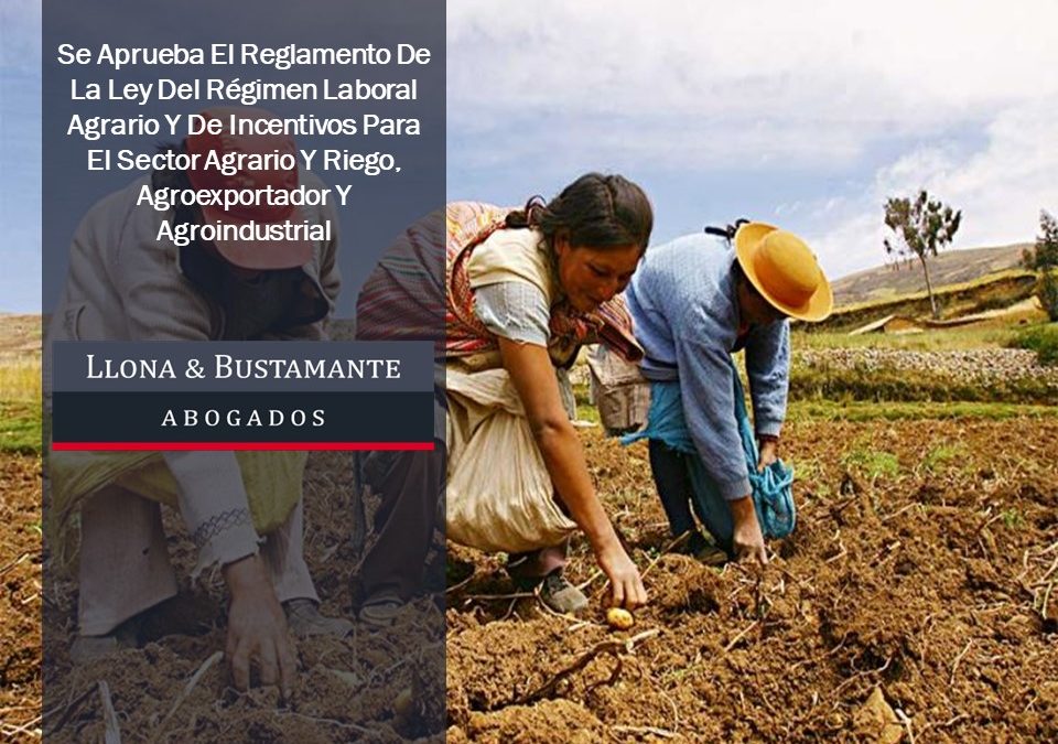Se aprueba el reglamento de la ley del régimen laboral agrario y de incentivos para el sector agrario y riego, agroexportador y agroindustrial