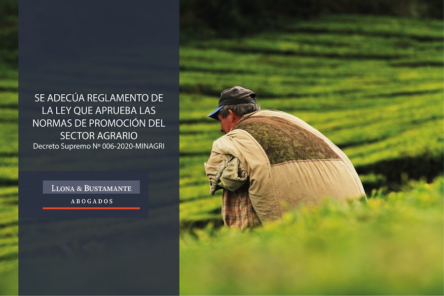 Modificaciones en las normas de promoción del sector agrario