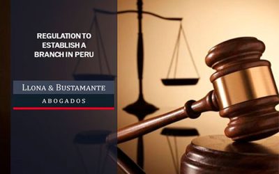 REGULATION TO ESTABLISH A BRANCH IN PERU