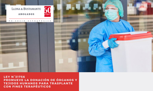 Ley N°31756 – Ley que promueve la donación de órganos y tejidos humanos para trasplante con fines terapéuticos