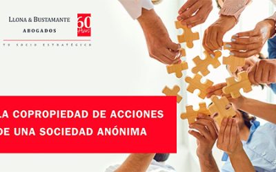 La Copropiedad de Acciones de una sociedad anónima